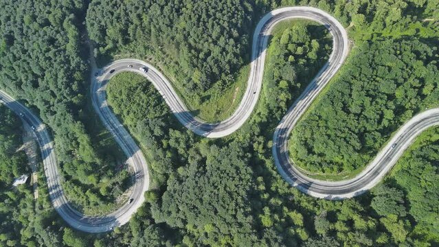 Aerial view of winding asphalt mountain road among green trees in summer.