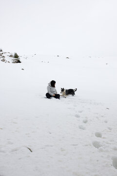 Woman and Border Collie Blue Merle Playing in Snowy Landscape