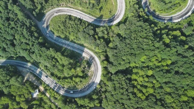 Aerial view of winding asphalt mountain road among green trees in summer.