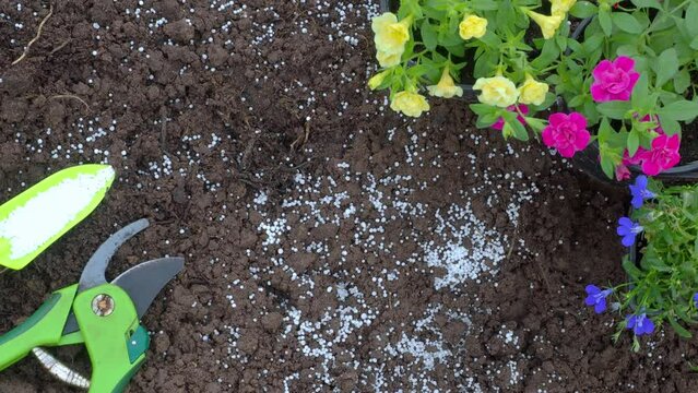Camera Zoom Gardening Tools: Shovel, Pruning Shears, Soil Fertilizers, Planting Flowers, Vegetables in Ground. Potassium nitrogen, Spring Garden, Flat Lay, Saltpeter, Magnesium, Nitrogen. Top view