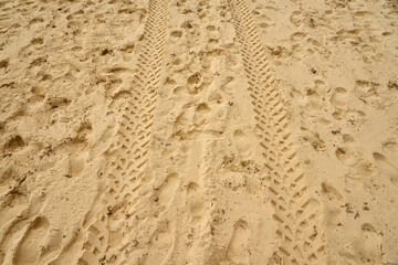 Traces of people and vehicles in the sand.