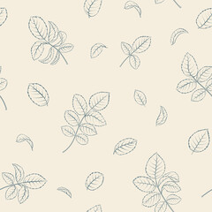 Seamless floral pattern with Rose. Botanical rosehip