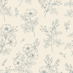 Seamless floral pattern with Rose. Botanical rosehip