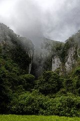 Dschungel von Borneo