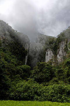 Dschungel von Borneo