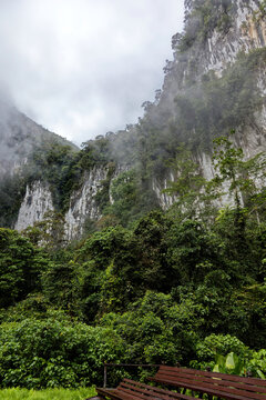Dschungel von Borneo
