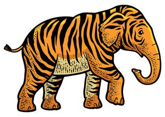 fictional animal tiger elephant color sketch engraving PNG illustration. T-shirt apparel print design. Scratch board imitation. Black and white hand drawn image.