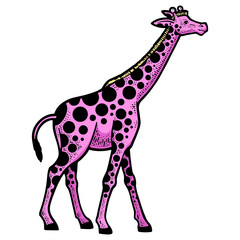 Giraffe animal with circles spots pink color sketch engraving PNG illustration. T-shirt apparel print design. Scratch board imitation. Black and white hand drawn image.