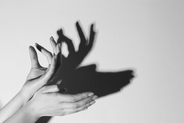 Shadow puppet. Woman making hand gesture like deer on light background, closeup with space for...