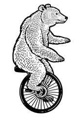 unicycle cartoon circus bear sketch engraving PNG illustration. T-shirt apparel print design. Scratch board imitation. Black and white hand drawn image.