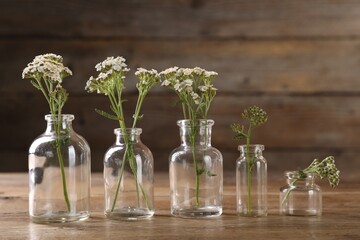 Obraz premium Yarrow flowers in glass bottles on wooden table