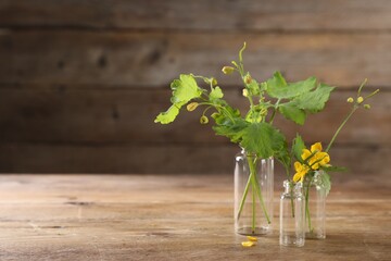 Celandine flowers in glass bottles on wooden table, space for text