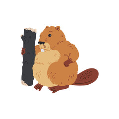 Cute brown beaver holds a log.