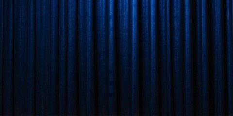 seamless background in a rich, dark blue hue, providing a sophisticated and calming atmosphere with its smooth, uniform color and understated elegance