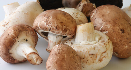 Close-up Images Of Brown And White Mushrooms On A White Background