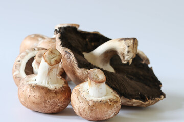 Close-up Images Of Brown And White Mushrooms On A White Background