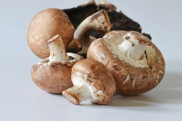 Close-up Images Of Brown And White Mushrooms On A White Background