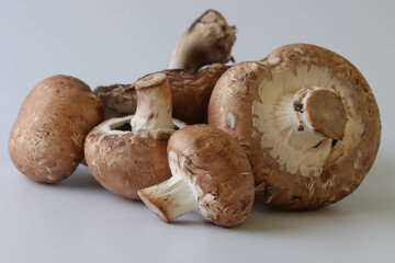 Close-up Images Of Brown And White Mushrooms On A White Background
