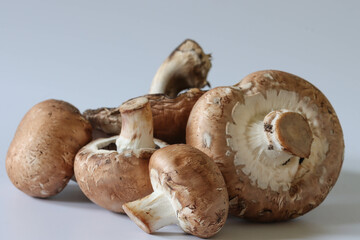 Close-up Images Of Brown And White Mushrooms On A White Background