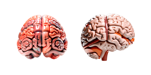 Conjunto de ícones de cérebros 3d. Grupo de cérebro humanos em fundo transparente, sem fundo.