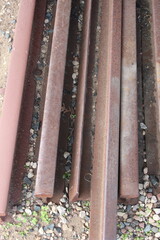 railroad tracks in the forest