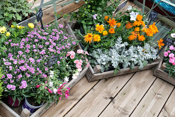 en terrasse chez le fleuriste