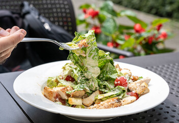 Caesar Salad, Green Lettuce Salat with Chicken and Parmesan Cheese Closeup
