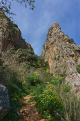 View at rocky landscape with green vegetation in Nature Park of Monte Cofano at mediterranean sea, San Vito Lo Capo, Sicily, Italy