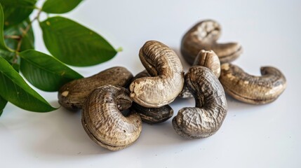 Obraz premium Cashew nuts in their natural state on a white backdrop