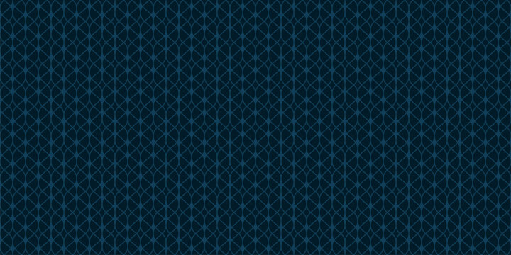 Vector mesh seamless pattern. Abstract subtle minimal background with thin wavy lines, delicate lattice, texture of lace, weaving, net. Elegant dark blue repeated geo design for decor, cover, print