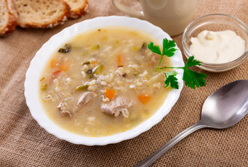 Traditional Russian soup rassolnik made from pickled cucumbers, pearl barley, and beef kidneys