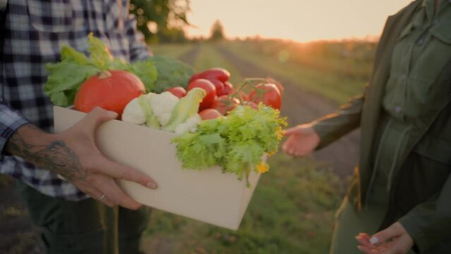 Unrecognizable Caucasian male man worker farmer hands carrying give box vegetables food eco organic product healthy eating delivery female woman lady client customer order crate veggies farmland field