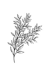 Flowers and greenery