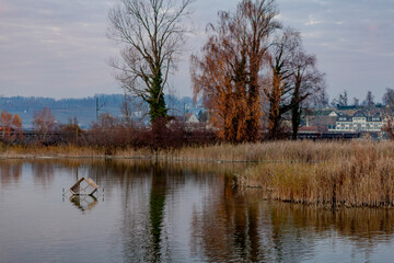 Holzbrücke Rapperswil-Hurden Bridge crossing Lake Obersee  in Switzerland.