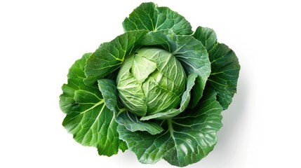 Fototapeta premium Green young cabbage isolated top view on white background with clipping paths