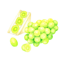 シャインマスカットのフルーツサンドと果実　スイーツ・カフェメニューの手描き水彩イラスト素材