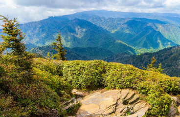 View From Cliff Top Viewpoint on Mt. LeConte, Great Smoky Mountains National Park, Tennessee, USA