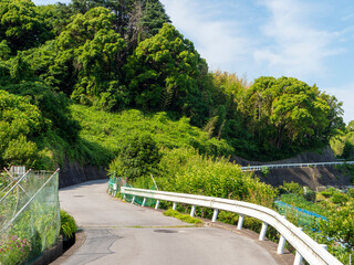 山沿いの道路と新緑の風景