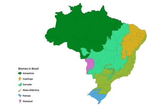 Biomes in Brazil, map of 6 ecosystems with natural vegetation. Amazonia (rainforest), Caatinga (scrub), Cerrado (savanna), Mata Atlantica (Atlantic Forest), Pampa (grassland), and Pantanal (wetland).