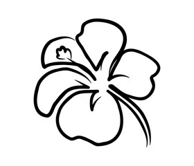 Hibiscus flower in one continuous line drawing. Floral abstract symbol in simple linear style. Organic red herbal tea concept in editable stroke. Doodle outline vector illustration