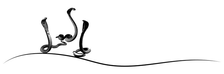 line art cobra silhouette illustration  background for a snake day 