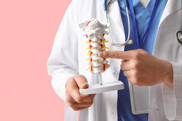 Male doctor demonstrating spinal anatomy with vertebral column model on pink background