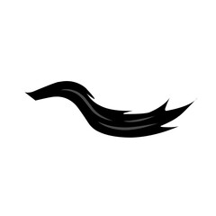 Horse tail icon Vector