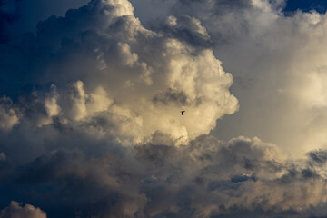 beautiful sky and clouds	