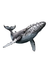 Fototapeta premium Isolated PNG Whale Fish, GENERATIVE AI