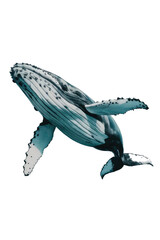 Fototapeta premium Isolated PNG Whale Fish, GENERATIVE AI