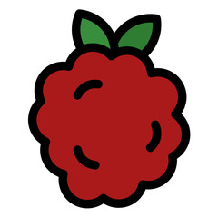 raspberry icon 