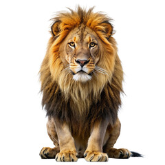 Majestic Lion Isolated on White Background for Creative Projects