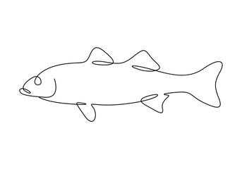 Sea bass fish continuous one line drawing vector illustration. Pro vector