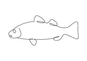 Sea bass fish continuous one line drawing vector illustration. Pro vector